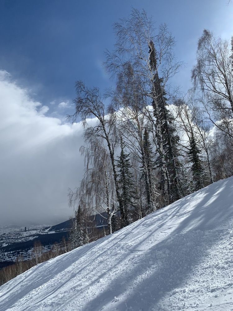 Photograph by Елена Каширина