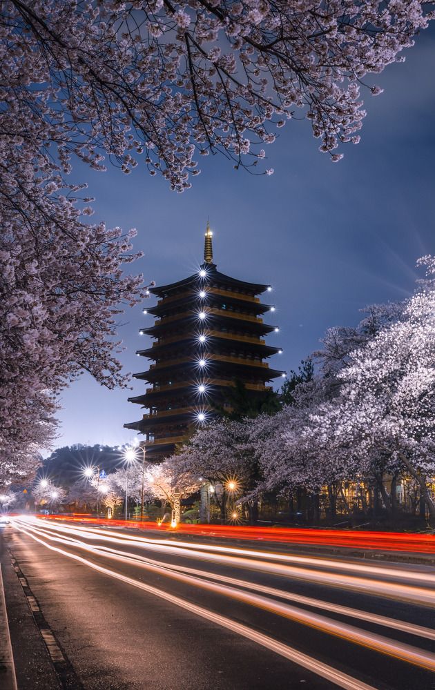 Night scene of 9-storey tower