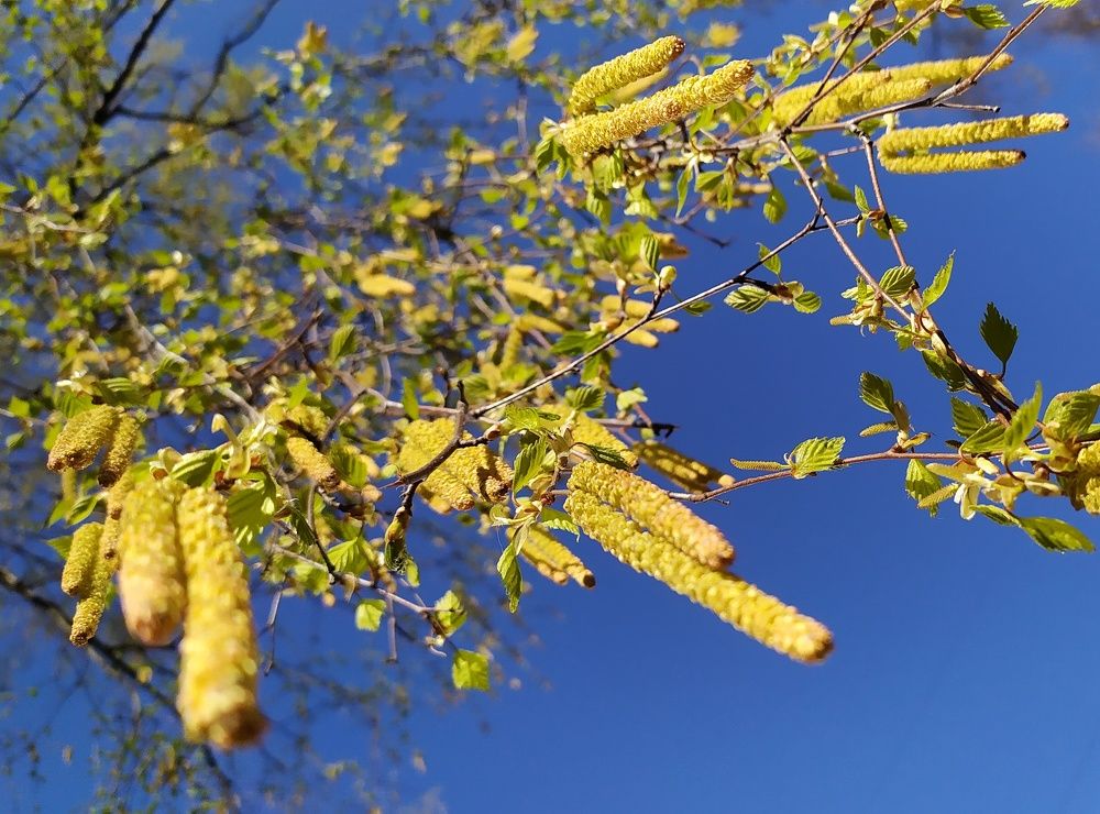 Photograph by Ольга Горох