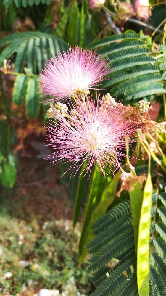 Photograph by Елена Каширина