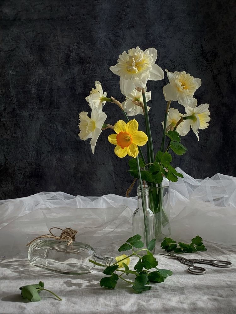 Photograph by Татьяна Семёнова