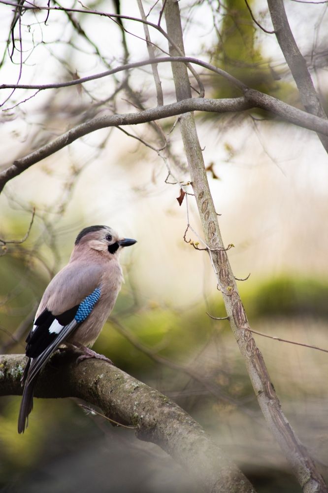 Photograph by Анастасия Рабочева