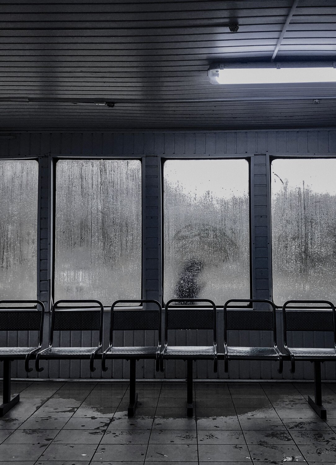 Photo #9082567
