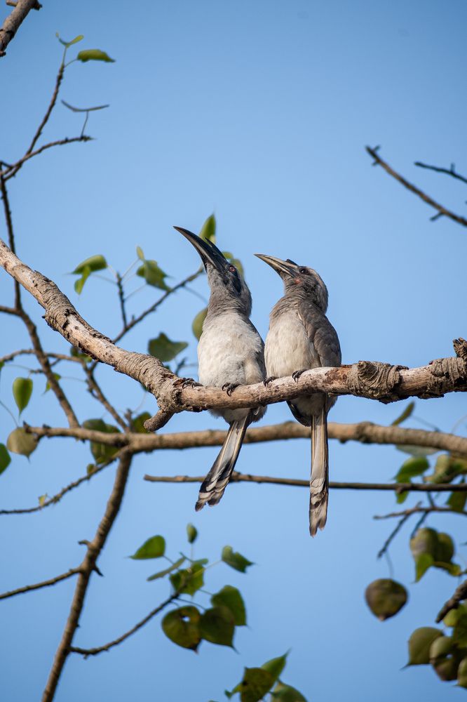 Photograph by Vineeth V V