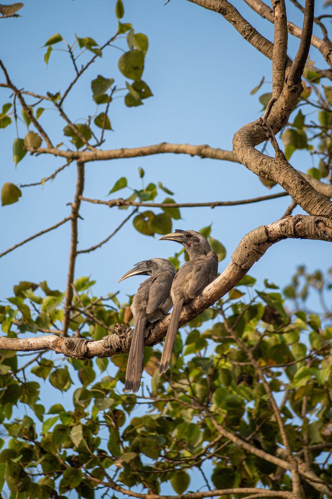 Photograph by Vineeth V V