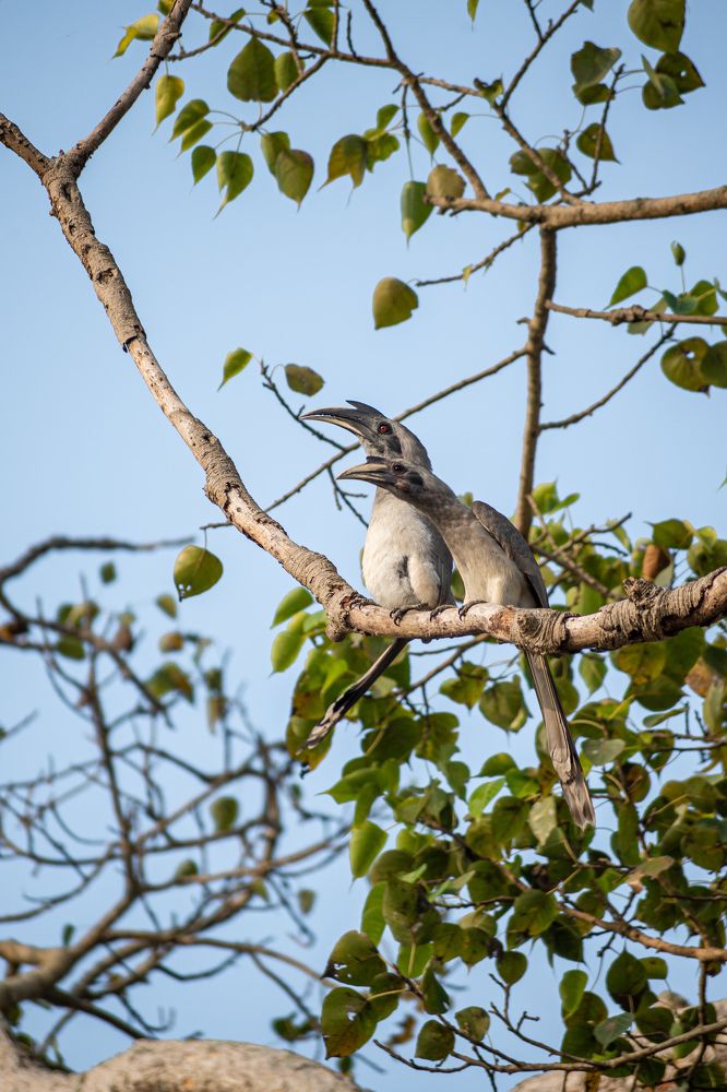 Photograph by Vineeth V V