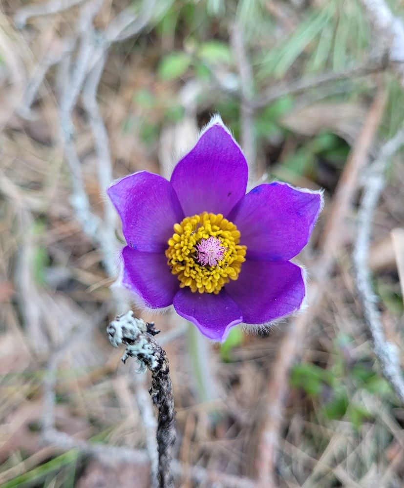 Фотография автора Анастасия Шабалтас