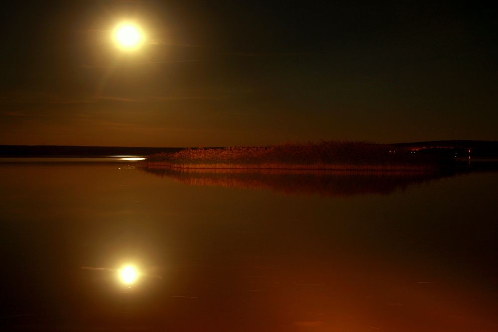 Фотография автора Nelya  Lysenko