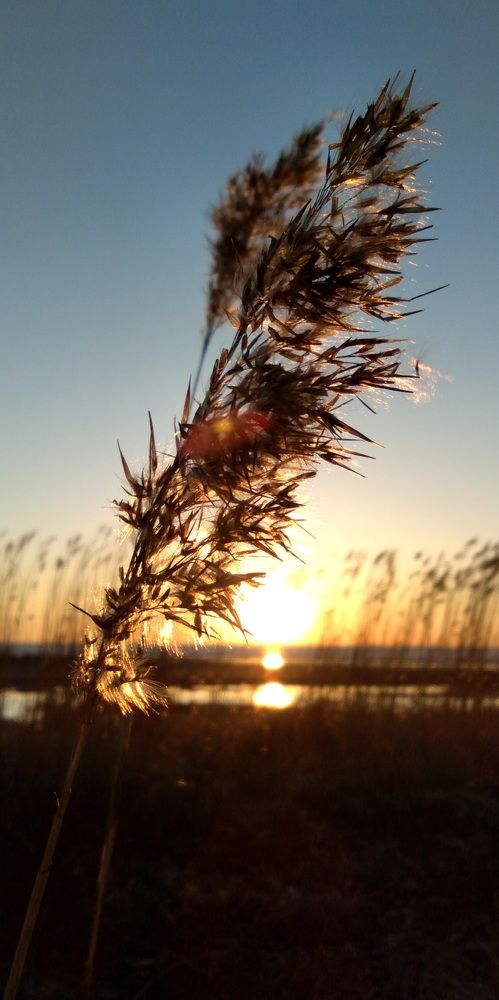 Photograph by Любовь Макарова