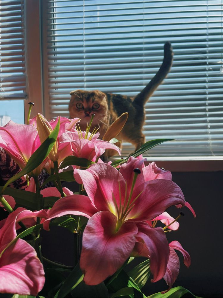 Photograph by Александра Пестина