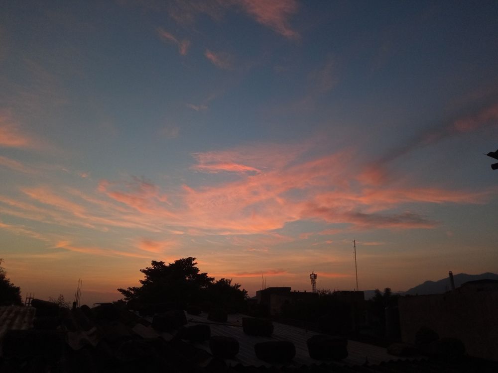 Photo #9082847