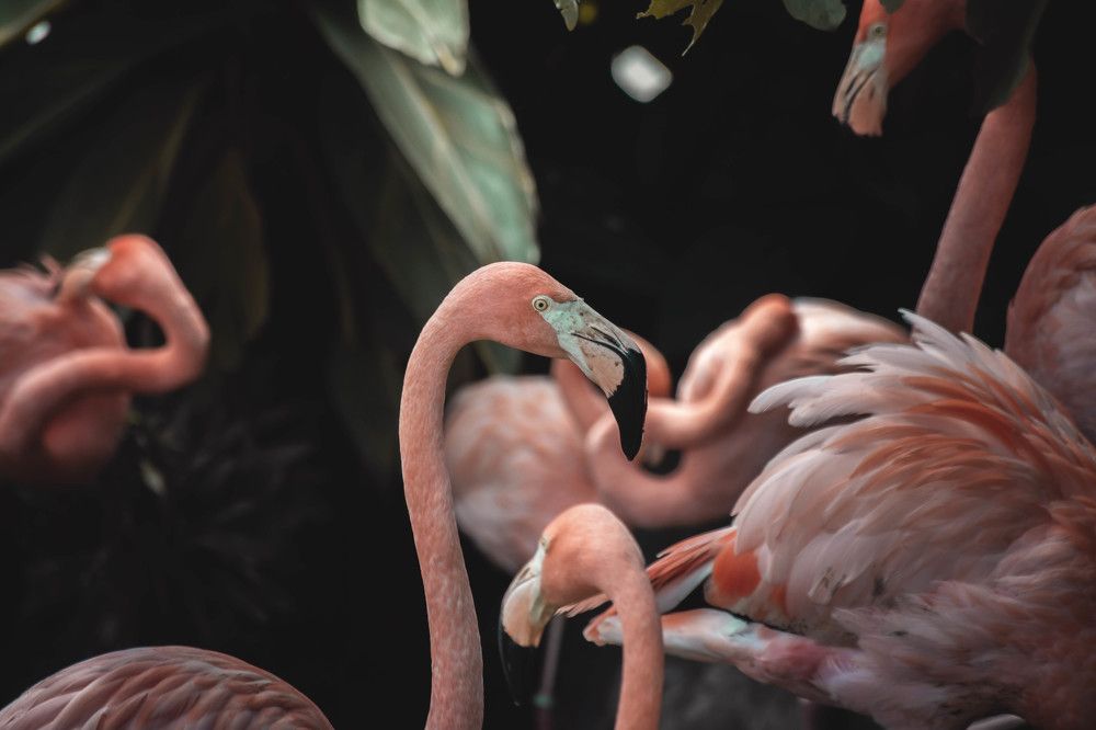 Photograph by Edward Hernández