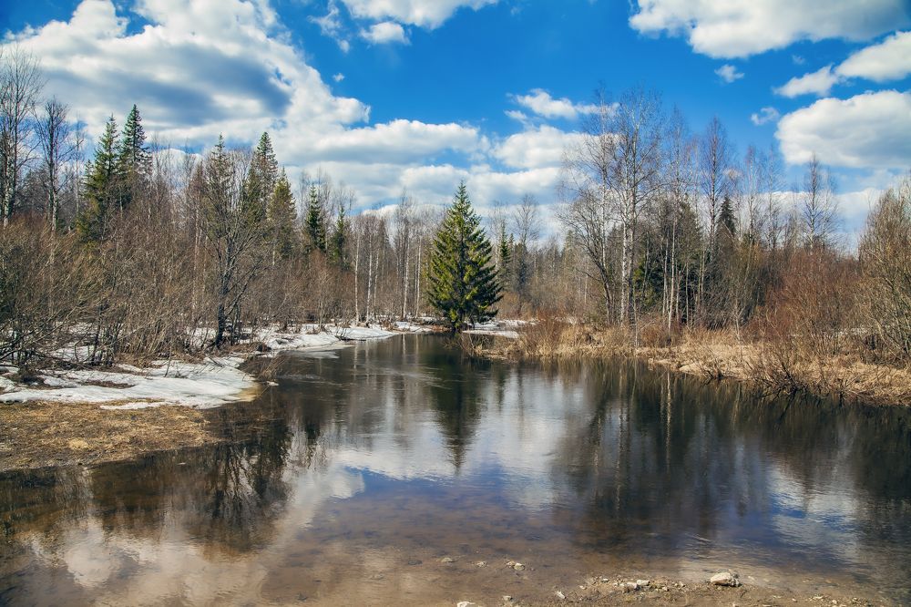 Photograph by Игорь Сидун