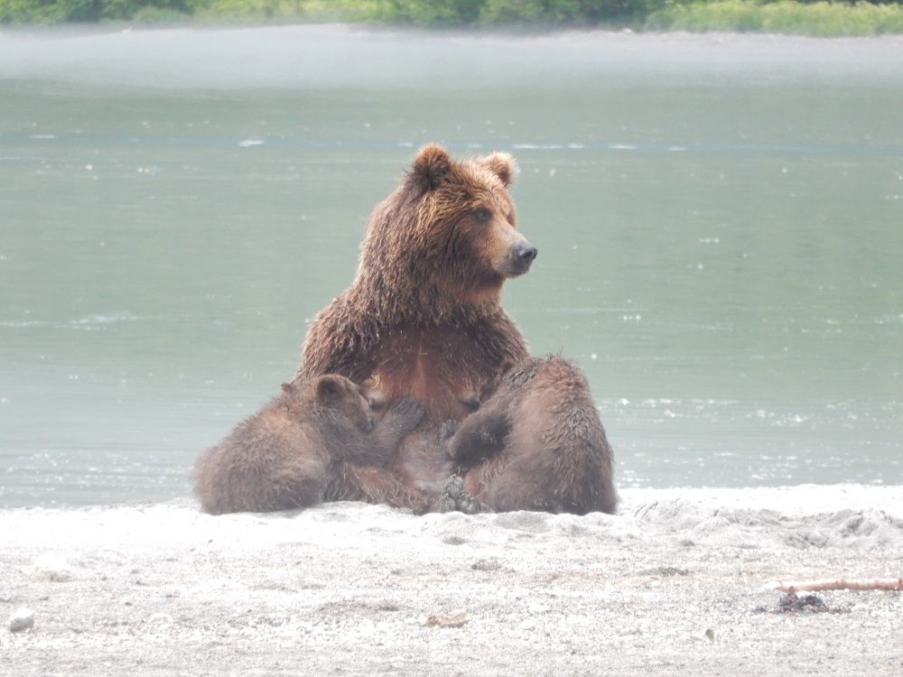 Photo #9082971