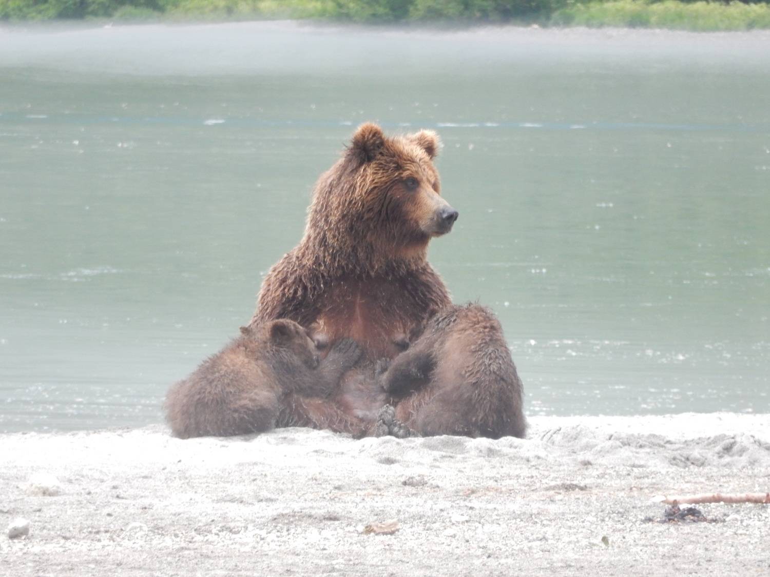 Photo #9082971