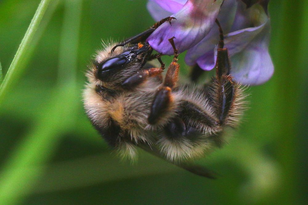 Photograph by салим насыпов