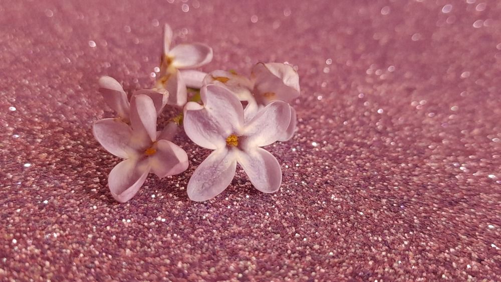 Photograph by Светлана Мазурова