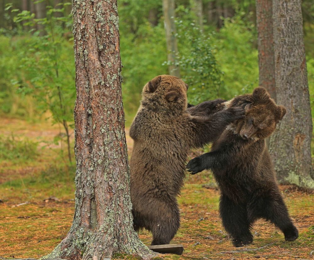 Фотография автора Юрий Кетель