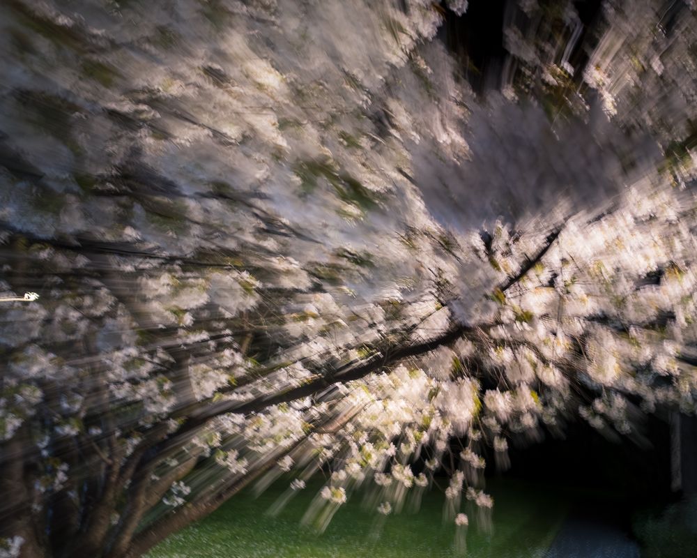 Photograph by Waldemar Fischer