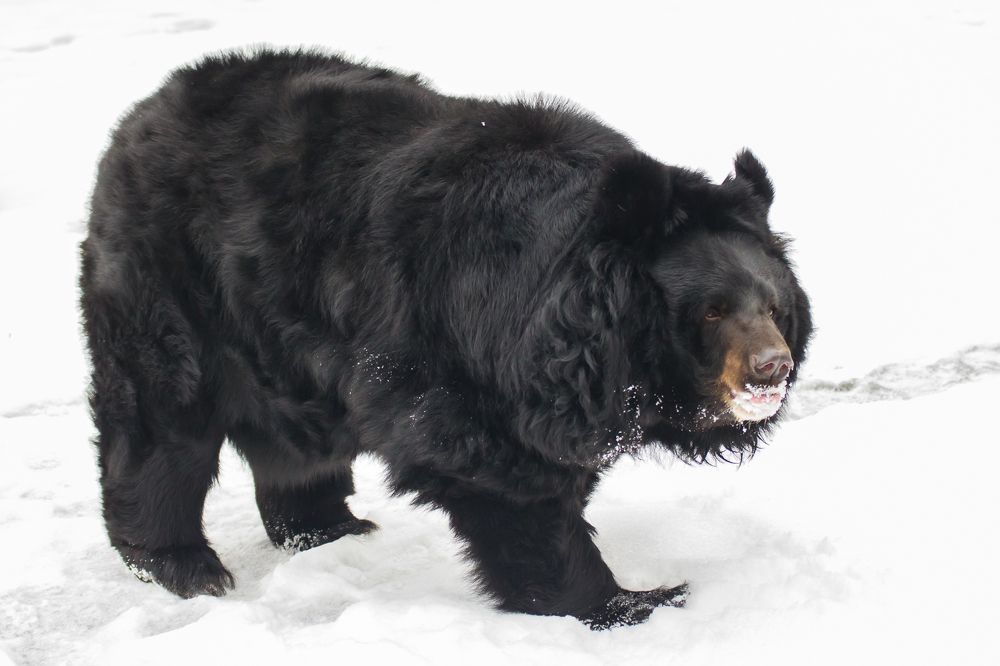 Photograph by Татьяна Гладкова