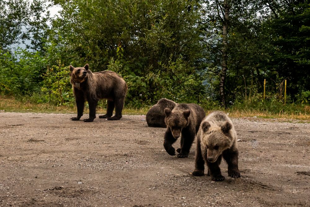 Photograph by levi bagy