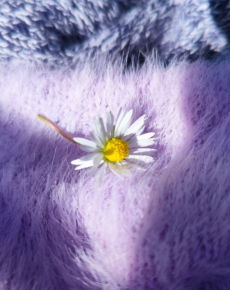 Photograph by Наталья Саенко