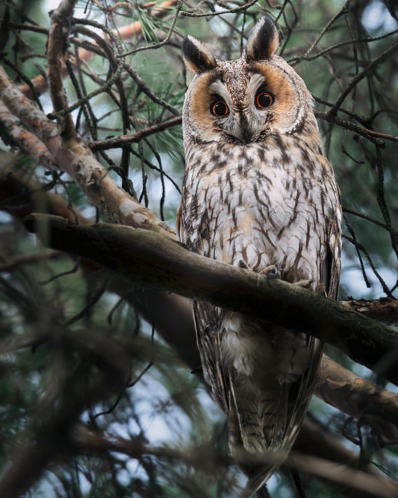 Photograph by Поляков Михаил