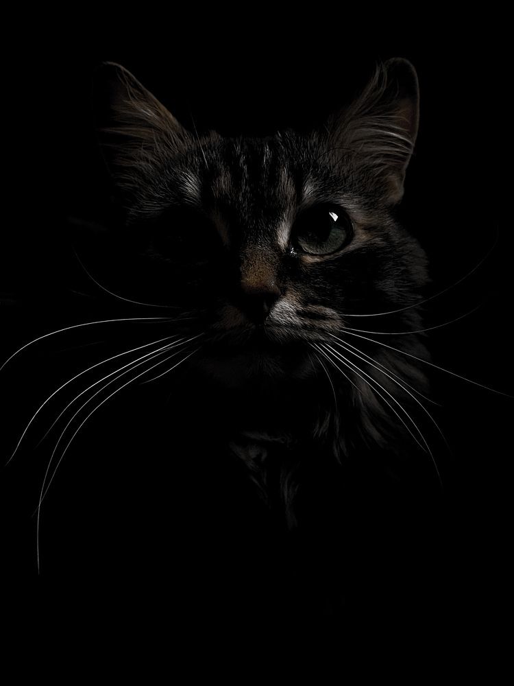 Photograph by Елена Гайдай