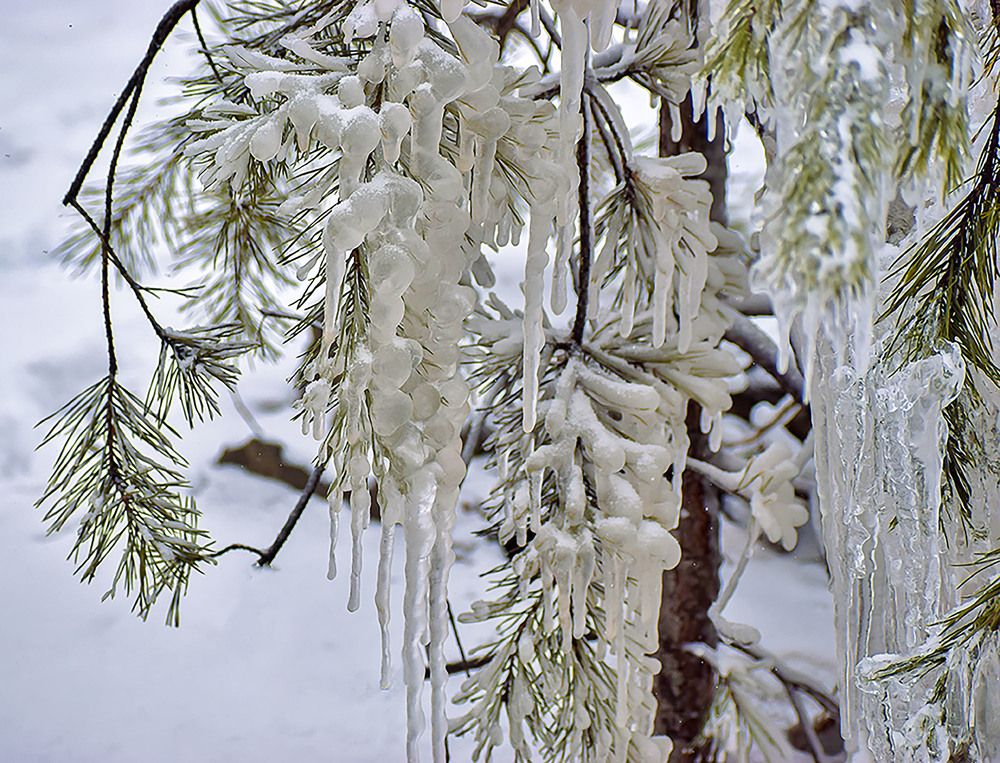 Царство зимы