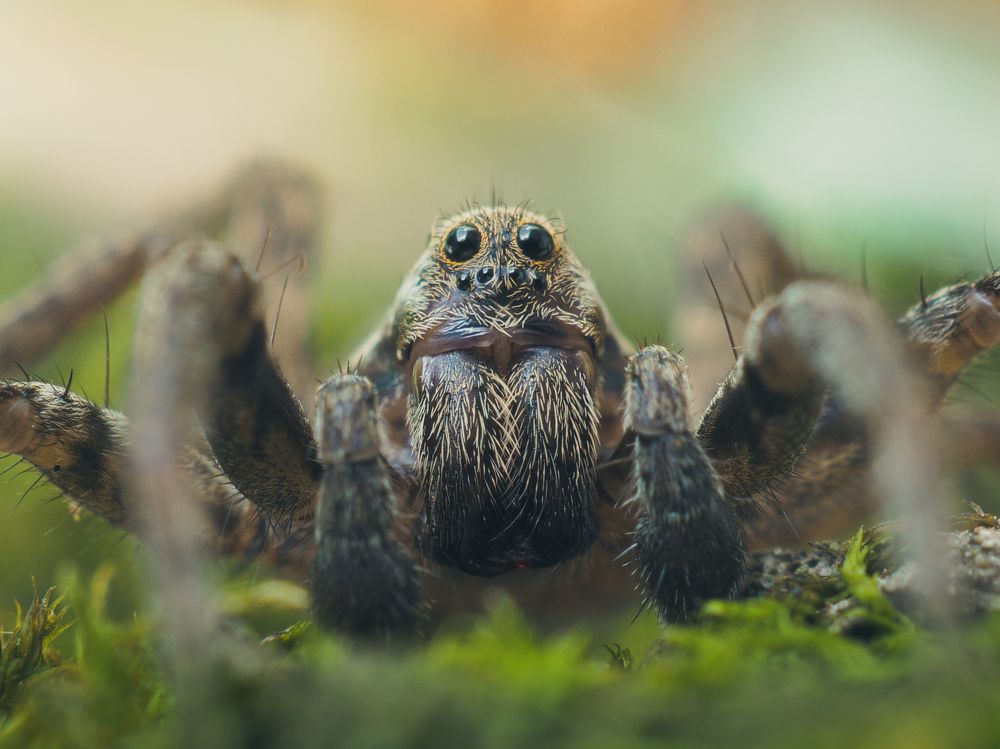 Photograph by Юрий Говорков