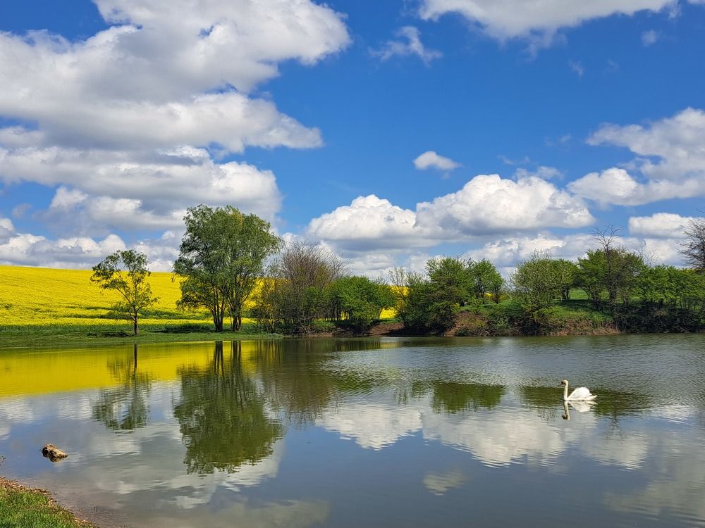 Photograph by Anna Volodina