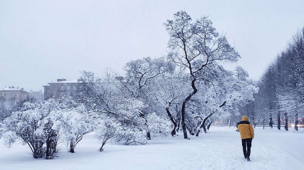 Фотография автора Галина