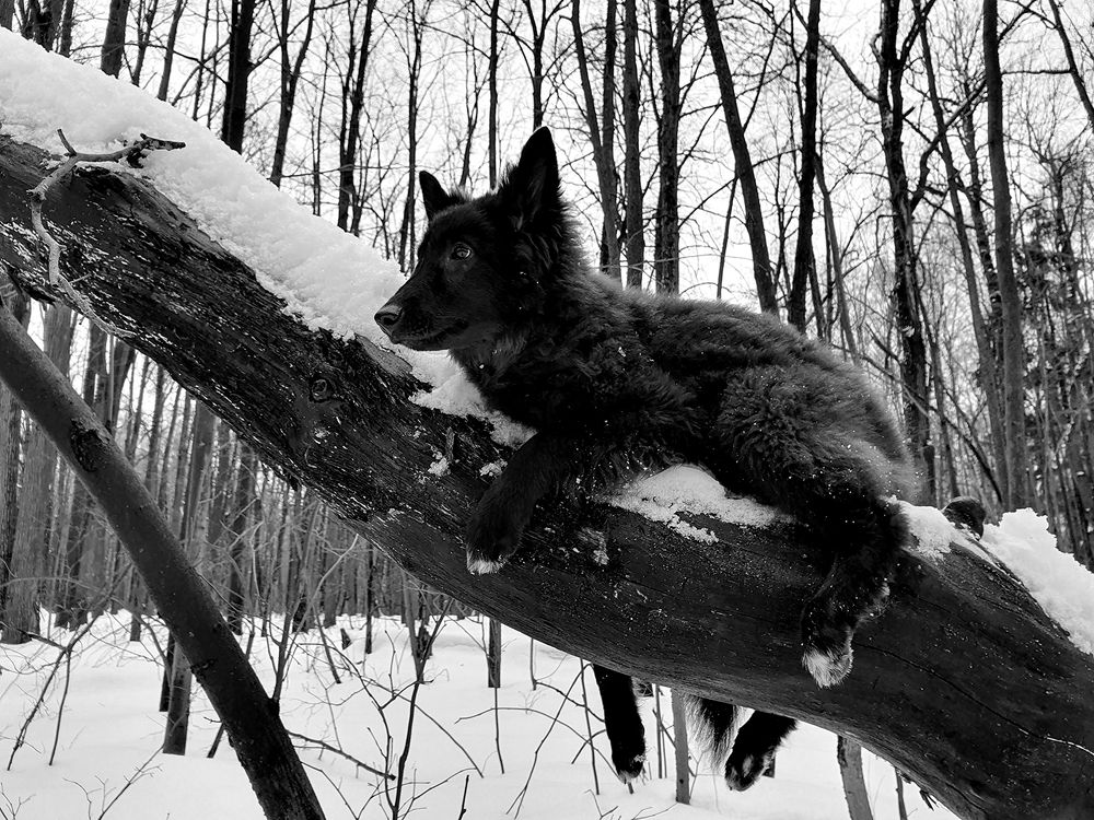 Фотография автора Надежда Лисицына
