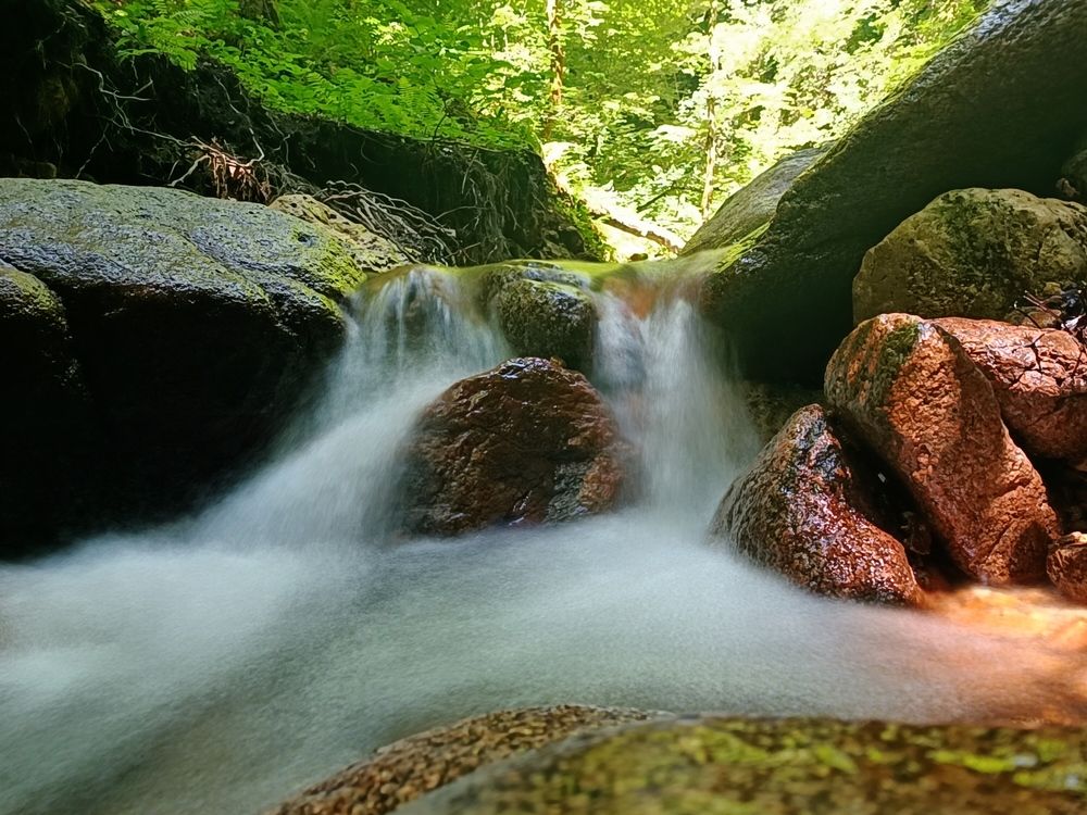 Photograph by Виталий Мартынов