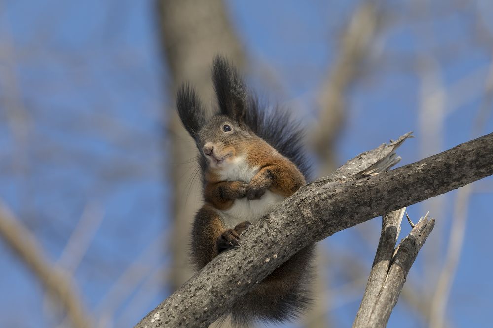 Photograph by Сергей Бойко
