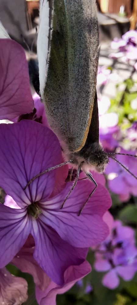 Photograph by Елена