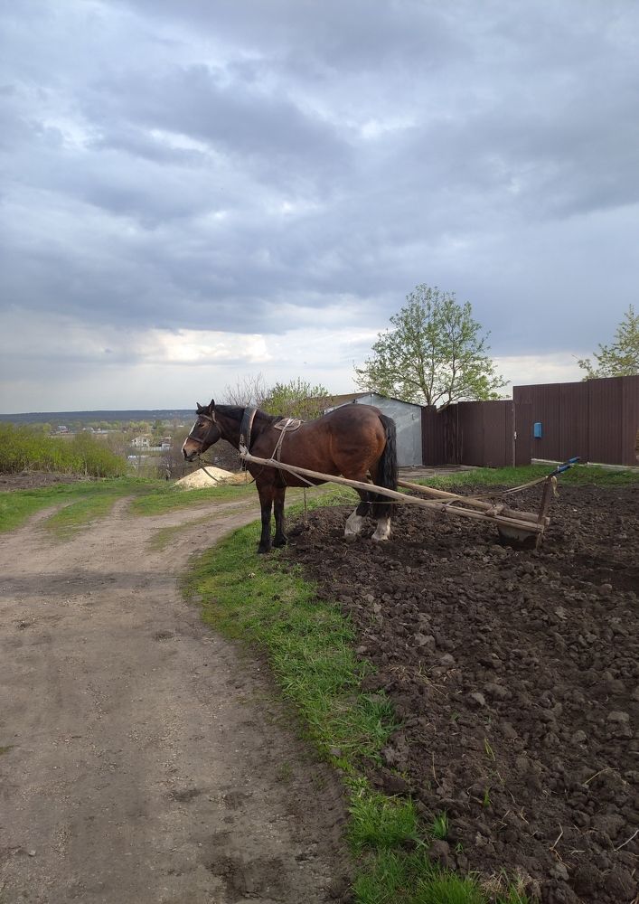 Photograph by Елена Коробченко