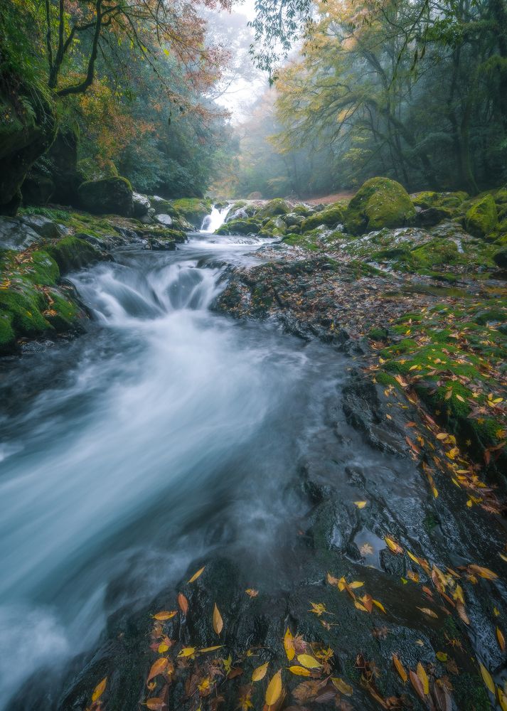 Photograph by Anh Vũ Nguyễn