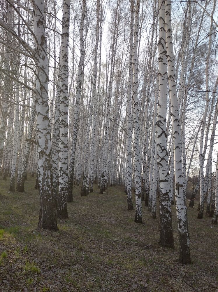 Photograph by Елена Коробченко