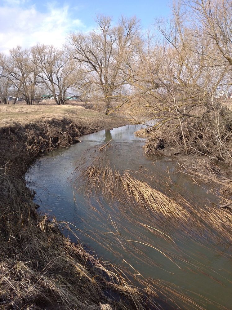 Photograph by Елена Коробченко