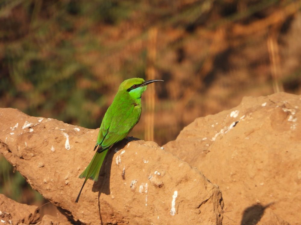 Photograph by Sougata Bhar