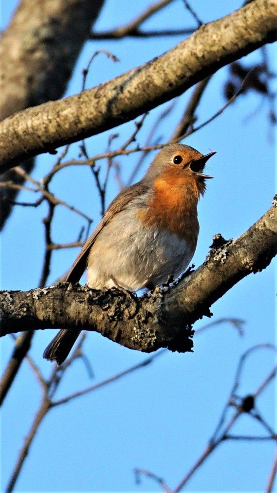 Photograph by Михаил Трусов