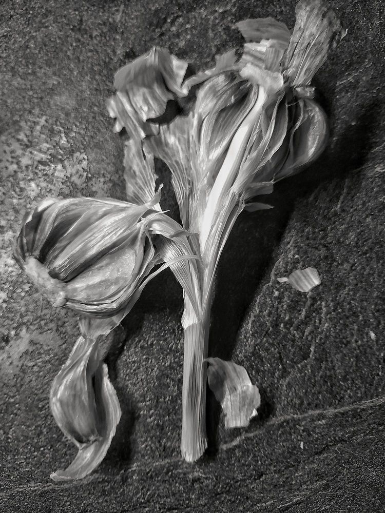 Photograph by Станислава