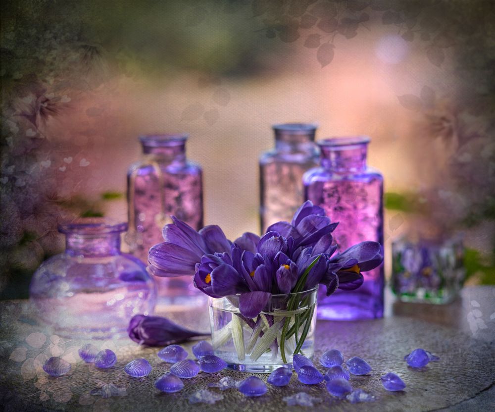 Photograph by NADEZHDA PELYMSKAIA