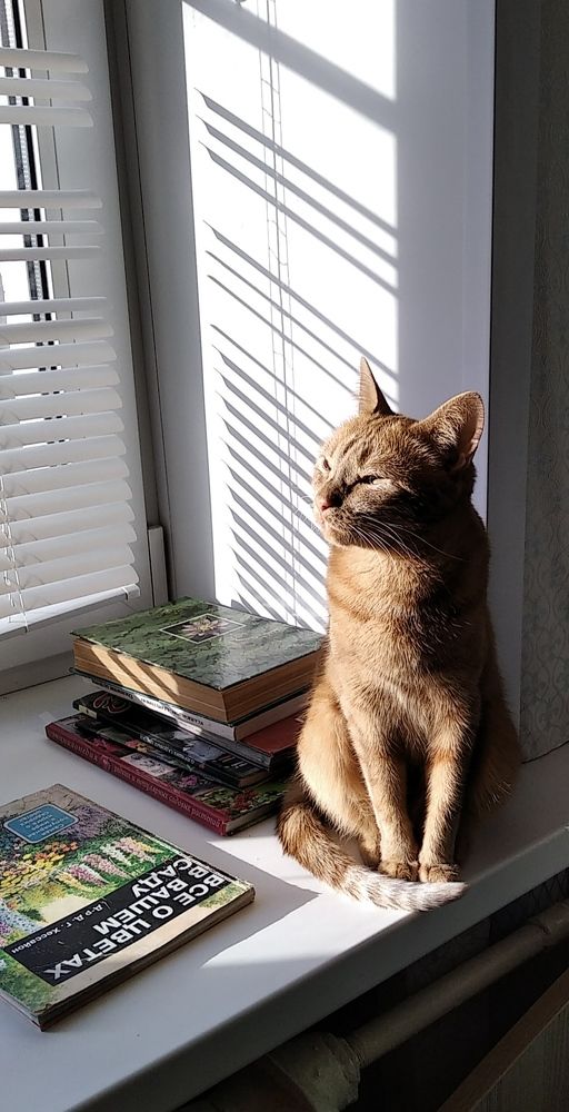 Photograph by Анна Виноградова