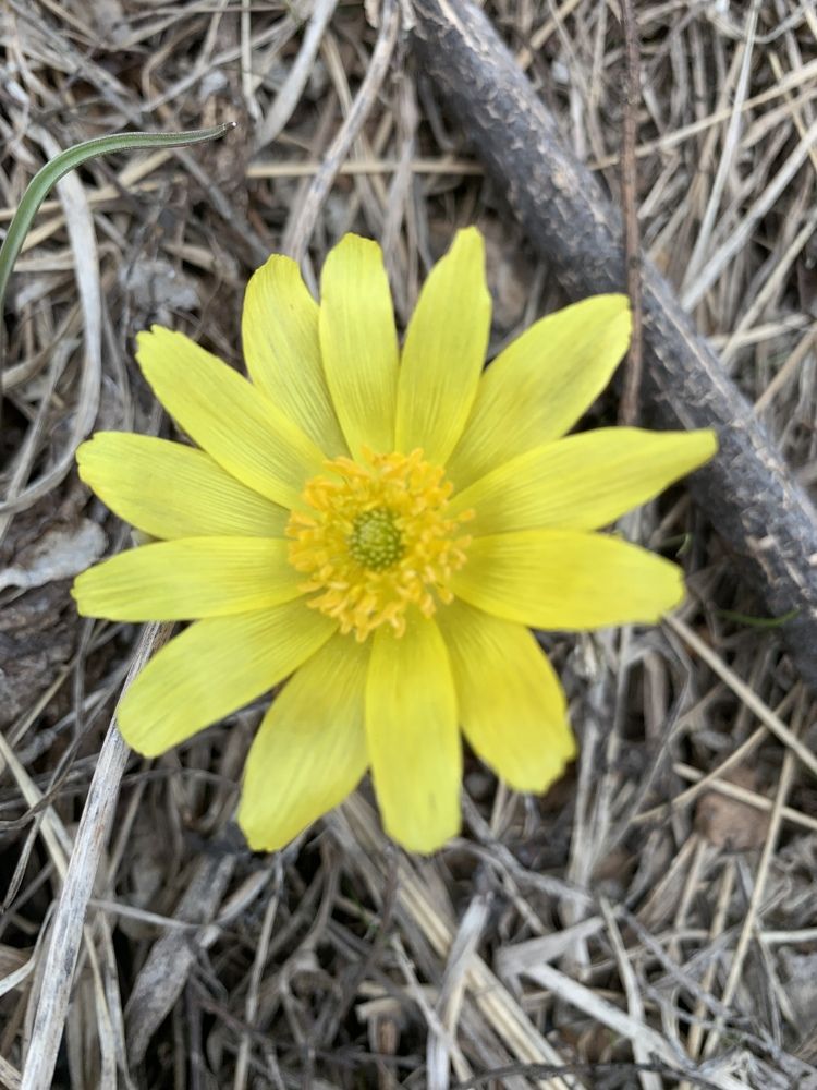 Photograph by Елена Каширина