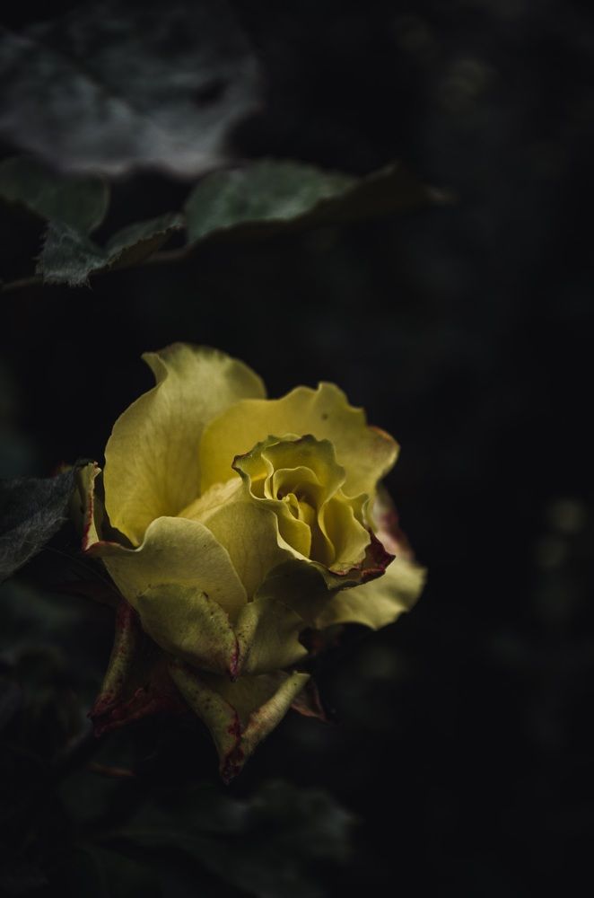Photograph by Кутуров Олег