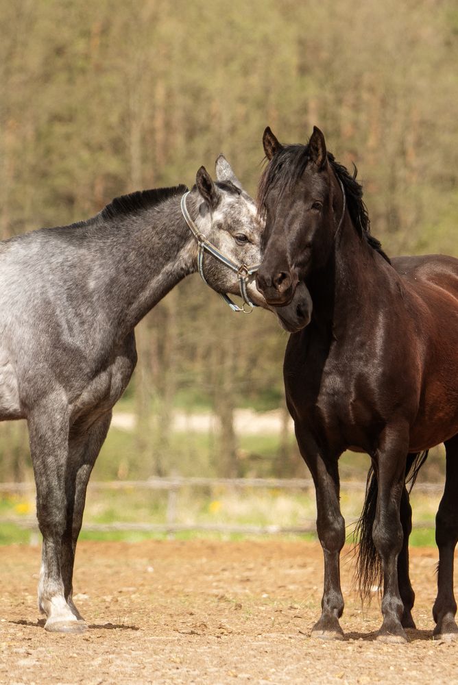 Photograph by наталья залогина