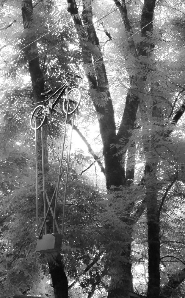 Photograph by Алекскандр Фатеев