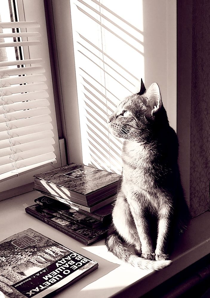 Photograph by Анна Виноградова